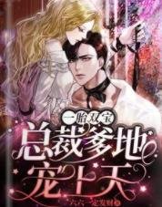 一胎双宝:总裁爹地宠上天