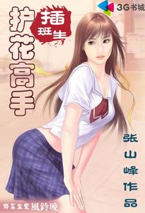 護花高手插班生